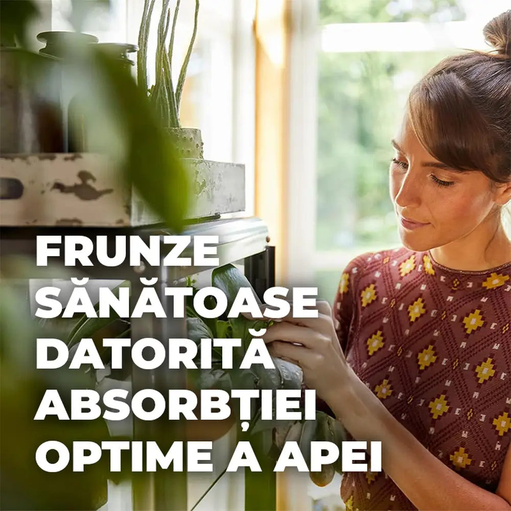 Pamant Compo Sana pentru plante verzi si palmieri 10 litri cu fertilizare 12 saptamani