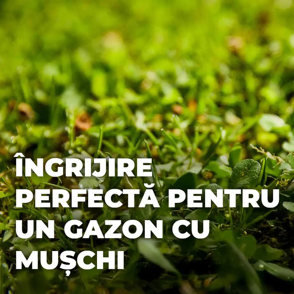 Ingrasamant gazon Compo, 4 kg pentru 160 mp, anti-muschi granule fine, efect 6 saptamani