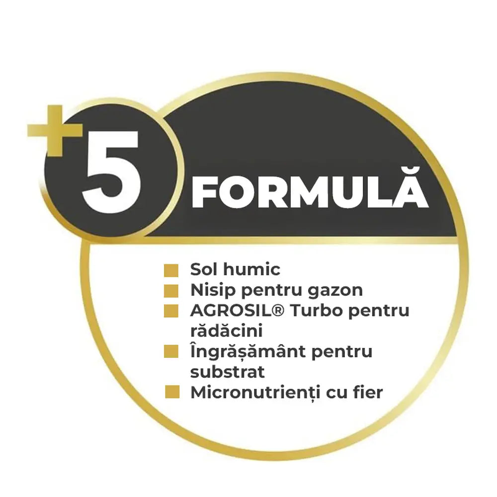 Substrat regenerare gazon COMPO Rasen Fit+ 5 in 1, 20 L pentru 10 mp, sol imbunatatit si germinare accelerata dupa scarificare sau aerare