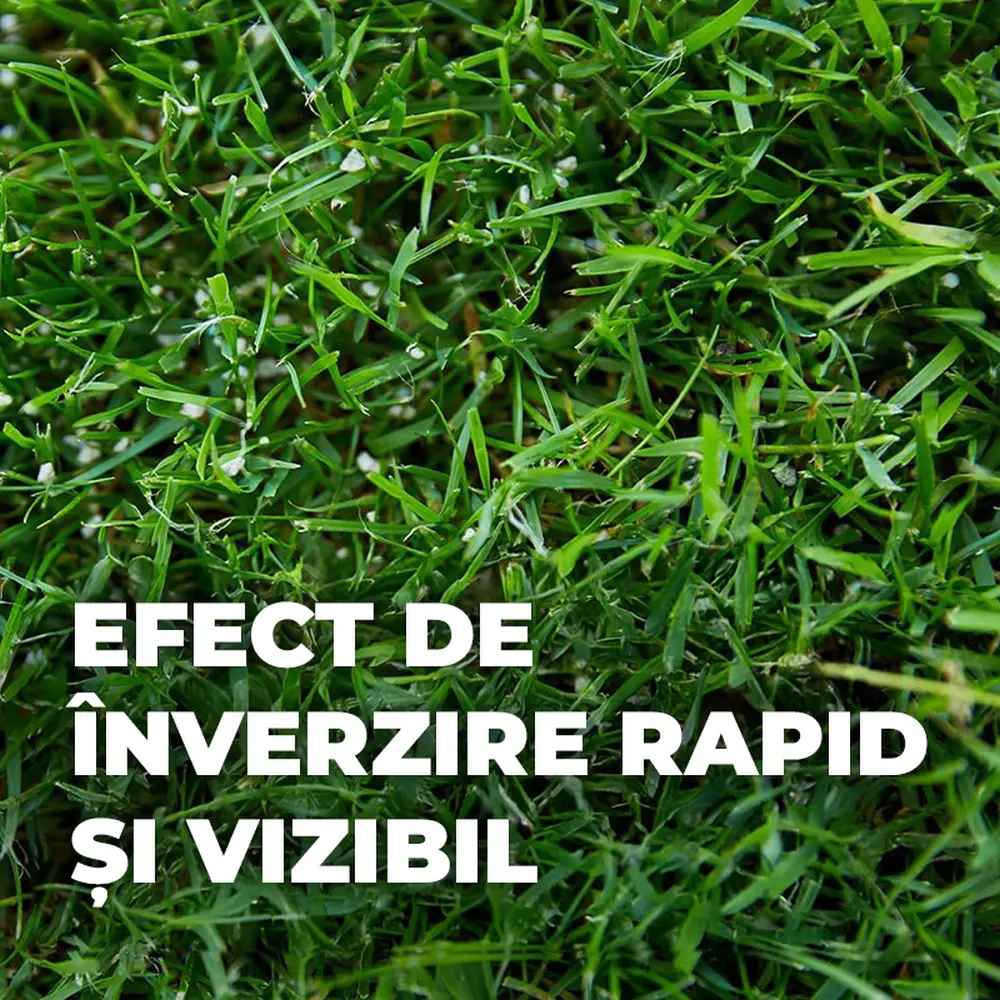 Тор за Ливада Compo, 8 kg за 320 m², Ефект за 3 месеца, Финни гранули