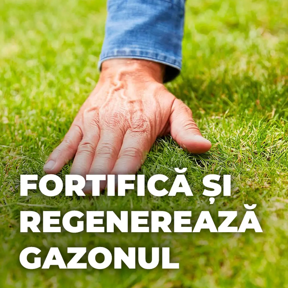 Ingrasamant lichid COMPO 2.5 l, impotriva buruienilor si muschiului, efect rapid pentru gazon verde si sanatos