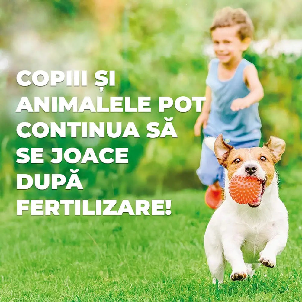 Ingrasamant gazon Substral, 2 kg pentru 200 mp, cu eliberare lenta, efect 100 zile cu azot incapsulat