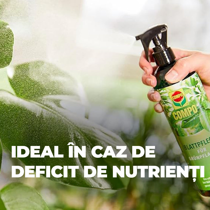 Течен тор за Грижа за Листата на Зеленолистни Растения и Палми, 500 ml, Бутилка с Пулверизатор, COMPO