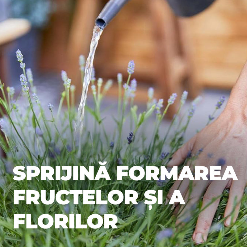 Органичен течен тор за Средиземноморски Растения, 500 ml, Специален с Допълнителен Калий и Желязо, 100% Натурални Съставки, COMPO