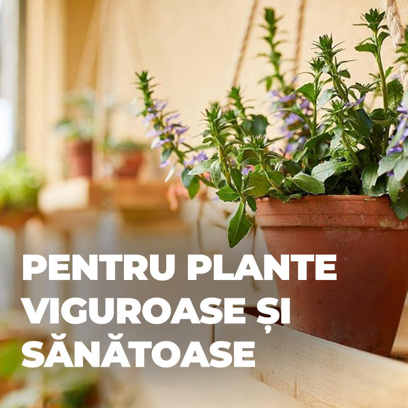 Органичен течен тор за Средиземноморски Растения, 500 ml, Специален с Допълнителен Калий и Желязо, 100% Натурални Съставки, COMPO