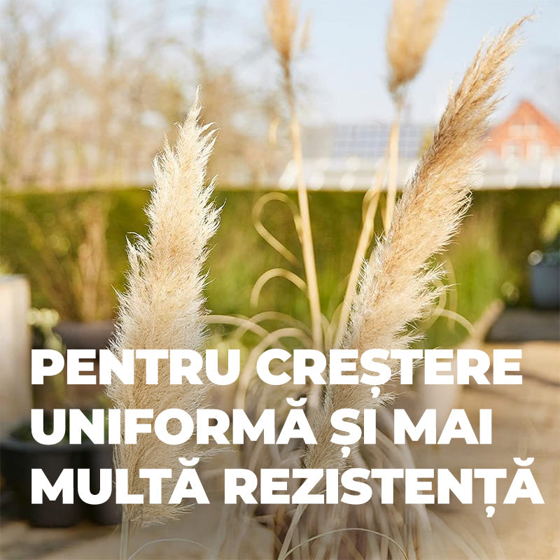 Тор за Бамбук и Орнаментални Треви, 850 g, 22 m², Екологична Формула, Продължително Действие 5 Месеца, COMPO