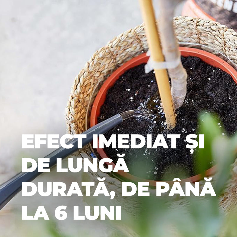 Тор за Средиземноморски Растения, 1.5 kg за 50 m², Продължително Действие 6 Месеца, COMPO