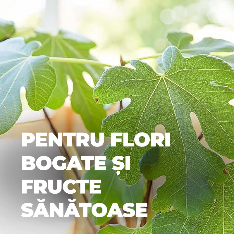 Тор за Средиземноморски Растения, 1.5 kg за 50 m², Продължително Действие 6 Месеца, COMPO