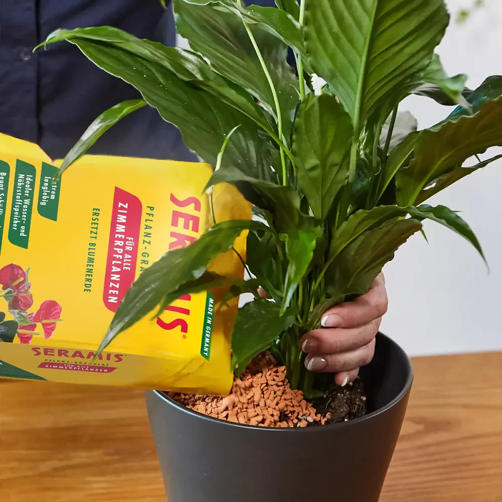 Granule argila SERAMIS pentru plante in ghiveci, substrat alternativ pentru flori, plante verzi si ierburi, 15 l, cu 2 tratamente nutritive incluse