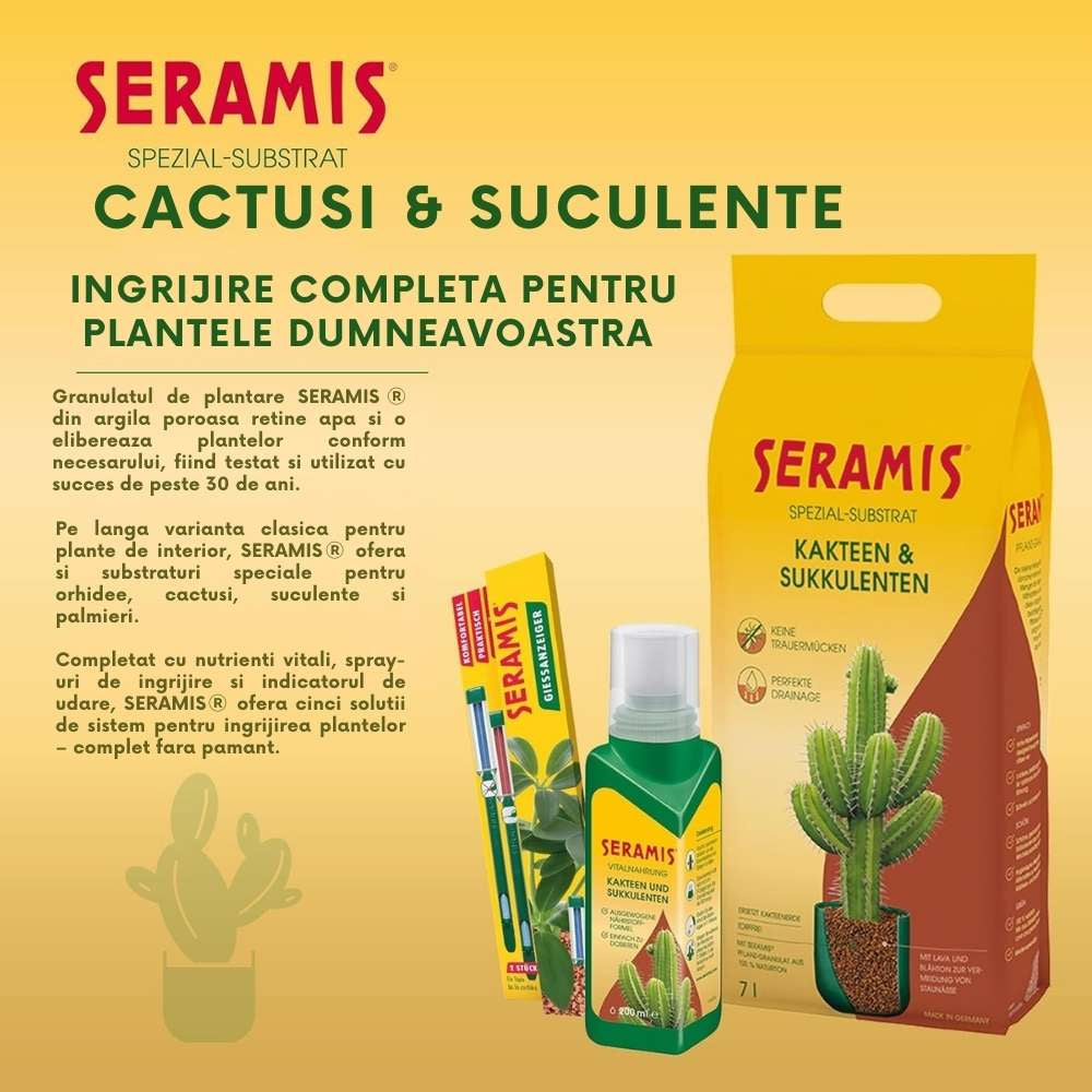 Granule de argila SERAMIS pentru cactusi si suculente, granule de argila cu drenaj excelent, inlocuitor total de sol, 2.5 litri
