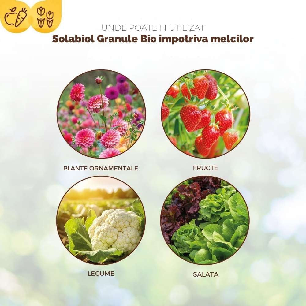 Momeala melci SOLABIOL organica, pentru combaterea limacsilor, 800 g