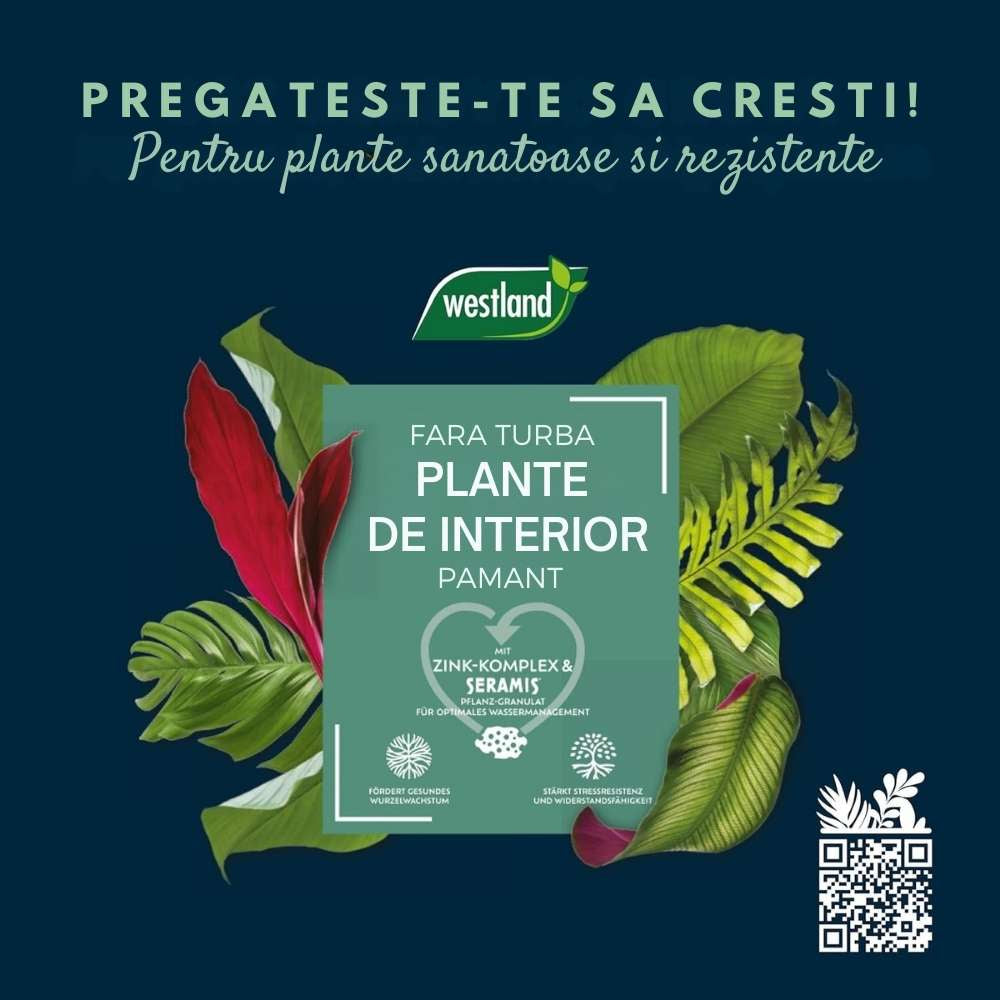 Substrat plante interior WESTLAND cu granule de argila, sol nutritiv pentru crestere sanatoasa, 8 l