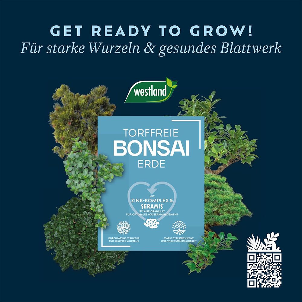 Pamant pentru bonsai WESTLAND, substrat special cu granule de argila pentru radacini puternice si frunze sanatoase, 4 len nutrient distribution At least 6 weeks of nutrient supply