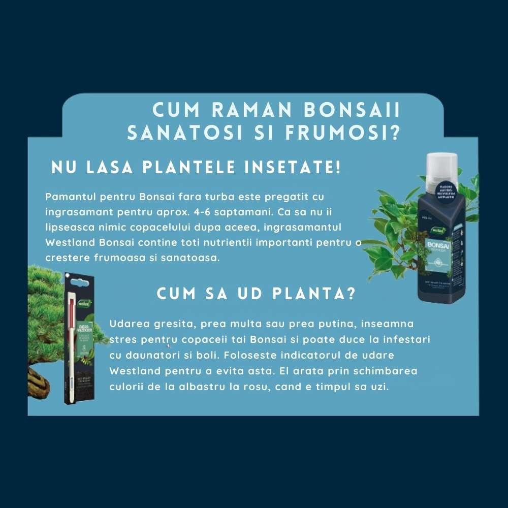 Pamant pentru bonsai WESTLAND, substrat special cu granule de argila pentru radacini puternice si frunze sanatoase, 4 len nutrient distribution At least 6 weeks of nutrient supply