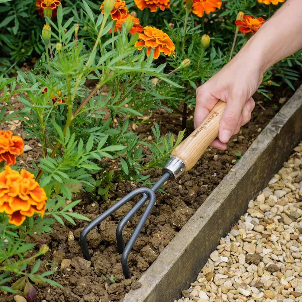 Cultivator de mana KENT & STOWE cu 3 dinti, otel inoxidabil, coada lemn frasin, 28 cm