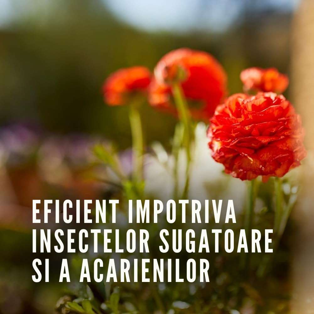 Инсектициден спрей за зелени и цъфтящи растения, 750 мл, пълна защита, COMPO