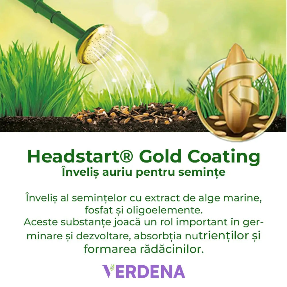 Reparare gazon Substral Plastura Magica 3 in 1, 1 kg, cu seminte gazon substrat si ingrasamant, pentru zone goale