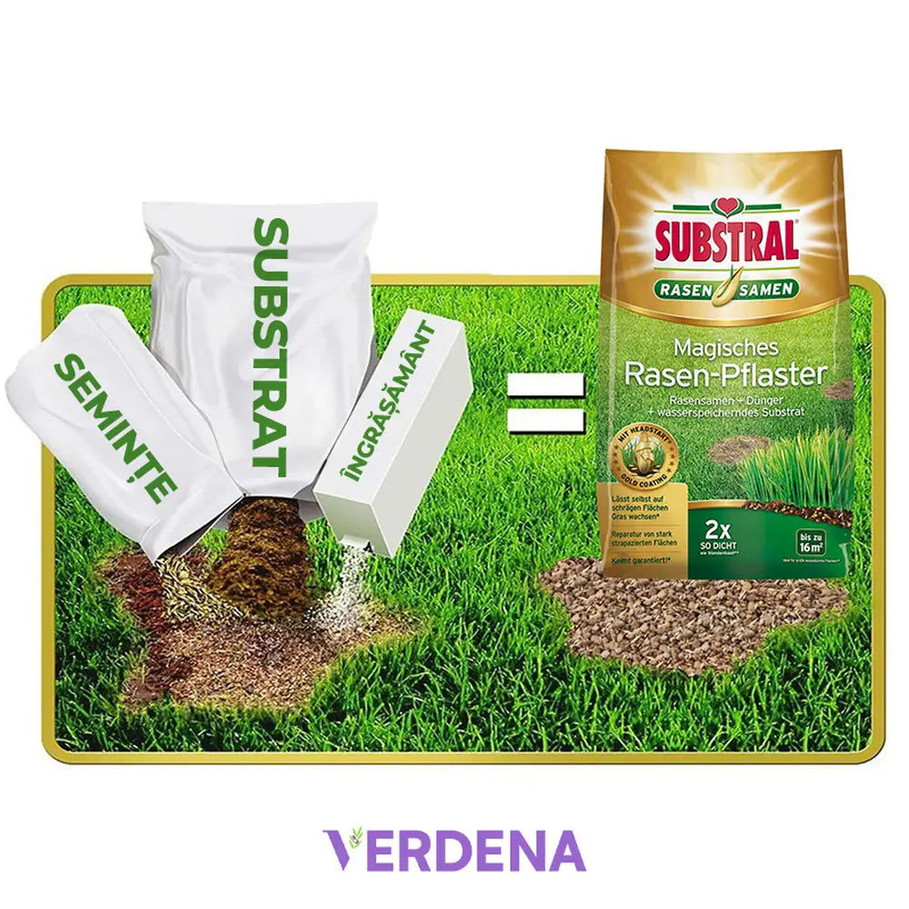 Ремонт на Ливада Substral Магическо Пластирче 3 в 1, 3 kg, със Семена за Ливада, Субстрат и Тор за Празни Зони