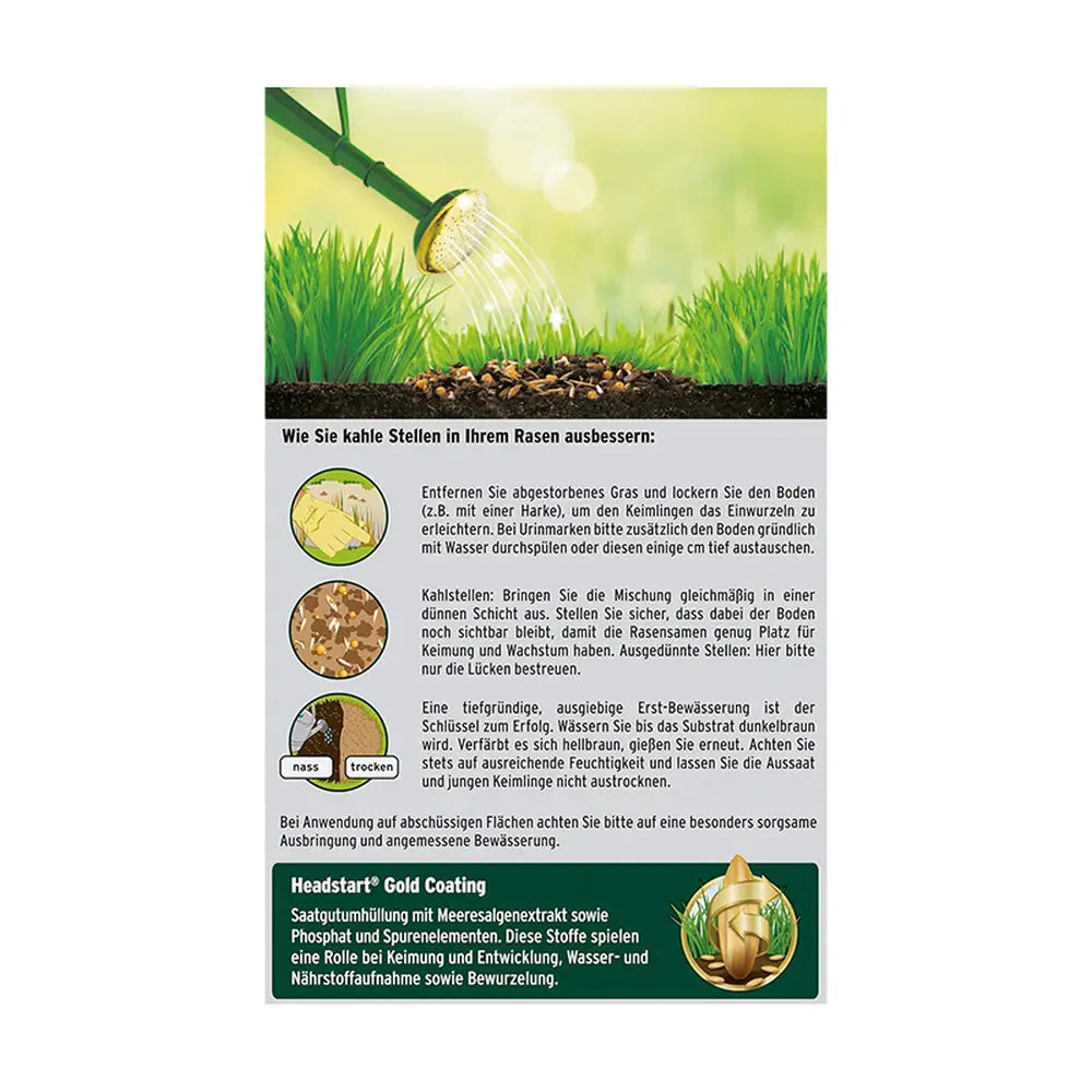 Ремонт на Ливада Substral Магическо Пластирче 3 в 1, 3 kg, със Семена за Ливада, Субстрат и Тор за Празни Зони