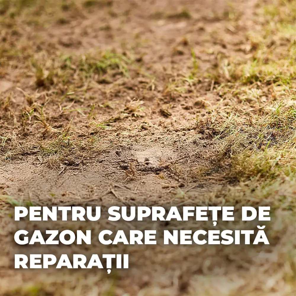 Compo turbo reseeding seminte gazon, 1 kg pentru 50 mp, regenerare rapida, amestec premium cu germinare rapida si siguranta ridicata