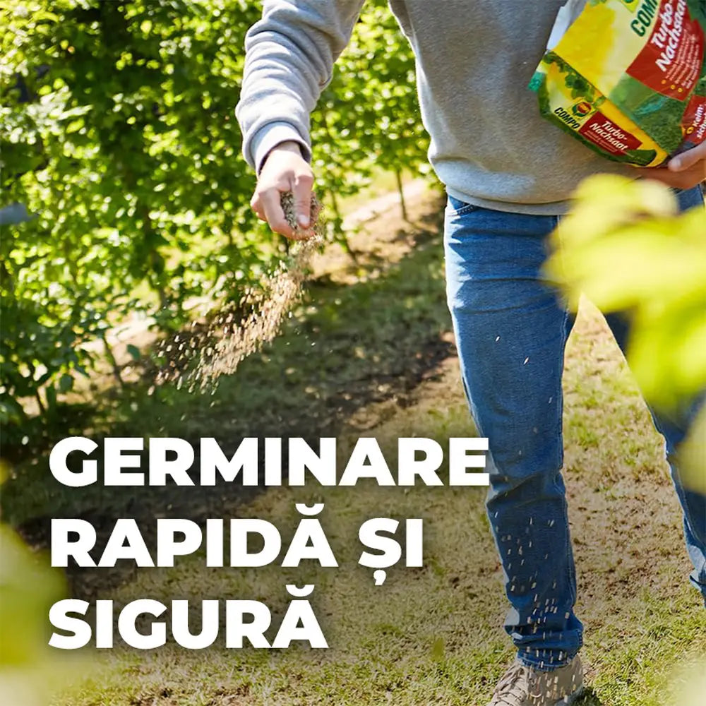 Compo turbo reseeding seminte gazon, 1 kg pentru 50 mp, regenerare rapida, amestec premium cu germinare rapida si siguranta ridicata