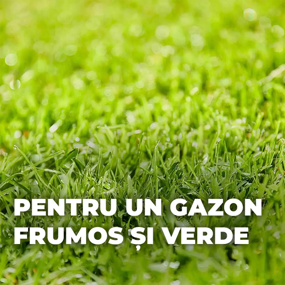 Compo turbo reseeding seminte gazon, 1 kg pentru 50 mp, regenerare rapida, amestec premium cu germinare rapida si siguranta ridicata