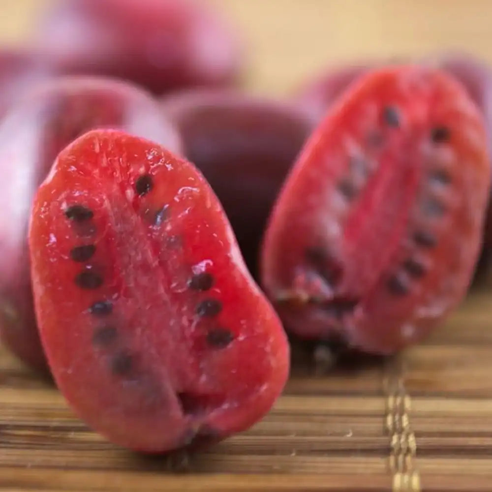 Киви сибирско Geneva (Actinidia arguta), женско, с червени сладки ароматни плодове, богати на витамин C