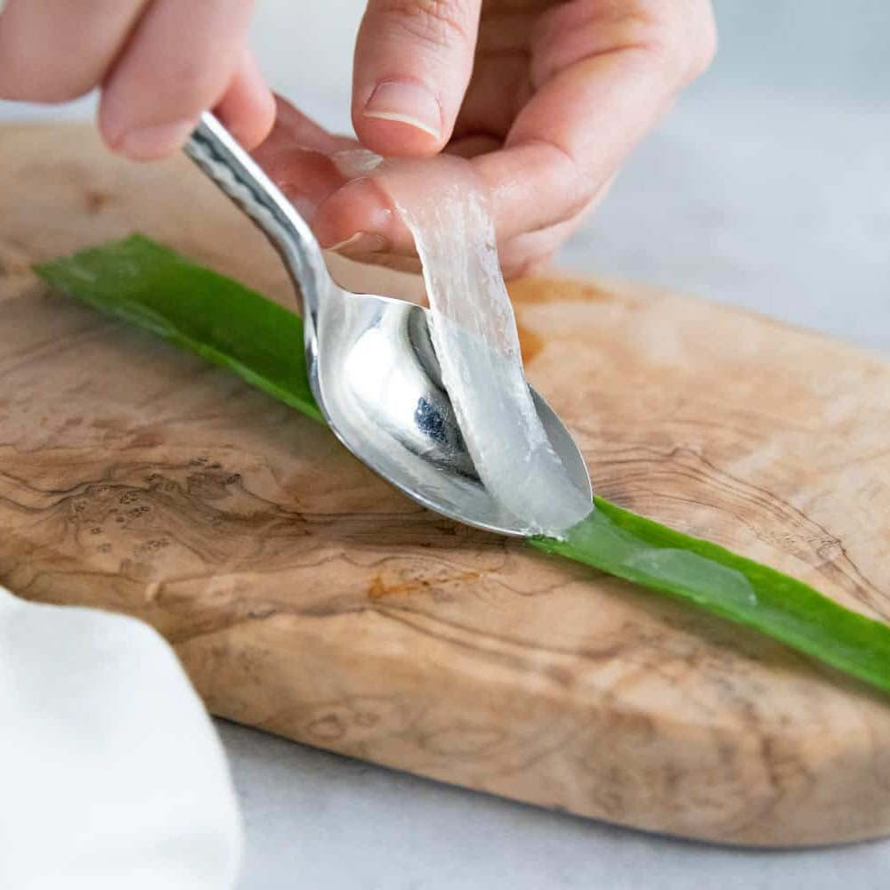 Aloe Vera растение в саксия, 75-80 см, естествен гел за кожа, грижа и лечение