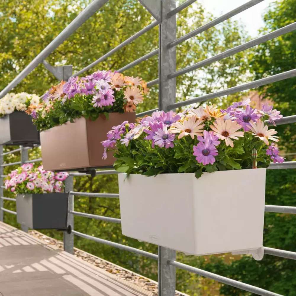 Ghiveci Auto-Irigant Lechuza Balconera Color 80, 12 l, gri mat, sistem de autoirigare, insert detasabil, strat de drenaj