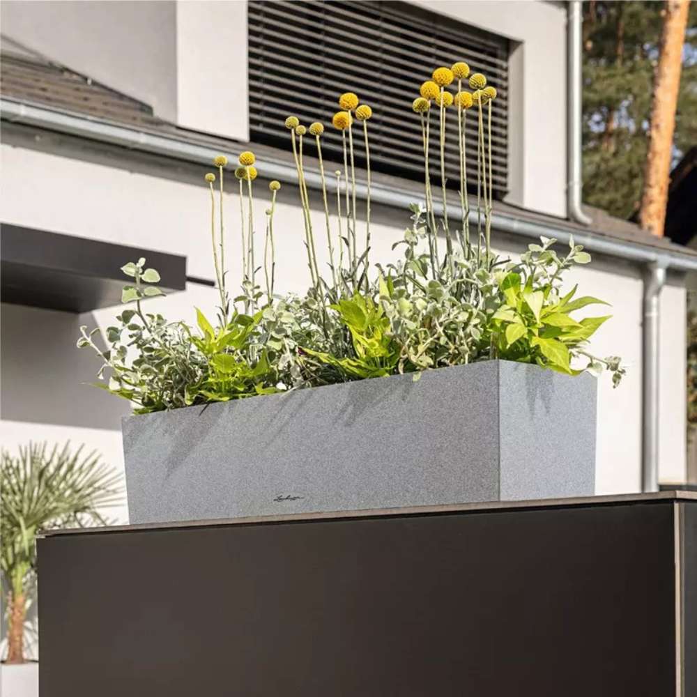Ghiveci Auto-Irigant Lechuza Balconera Stone 80, 12 l, cu efect de piatra neagra, sistem de autoirigare, insert detasabil, strat de drenaj