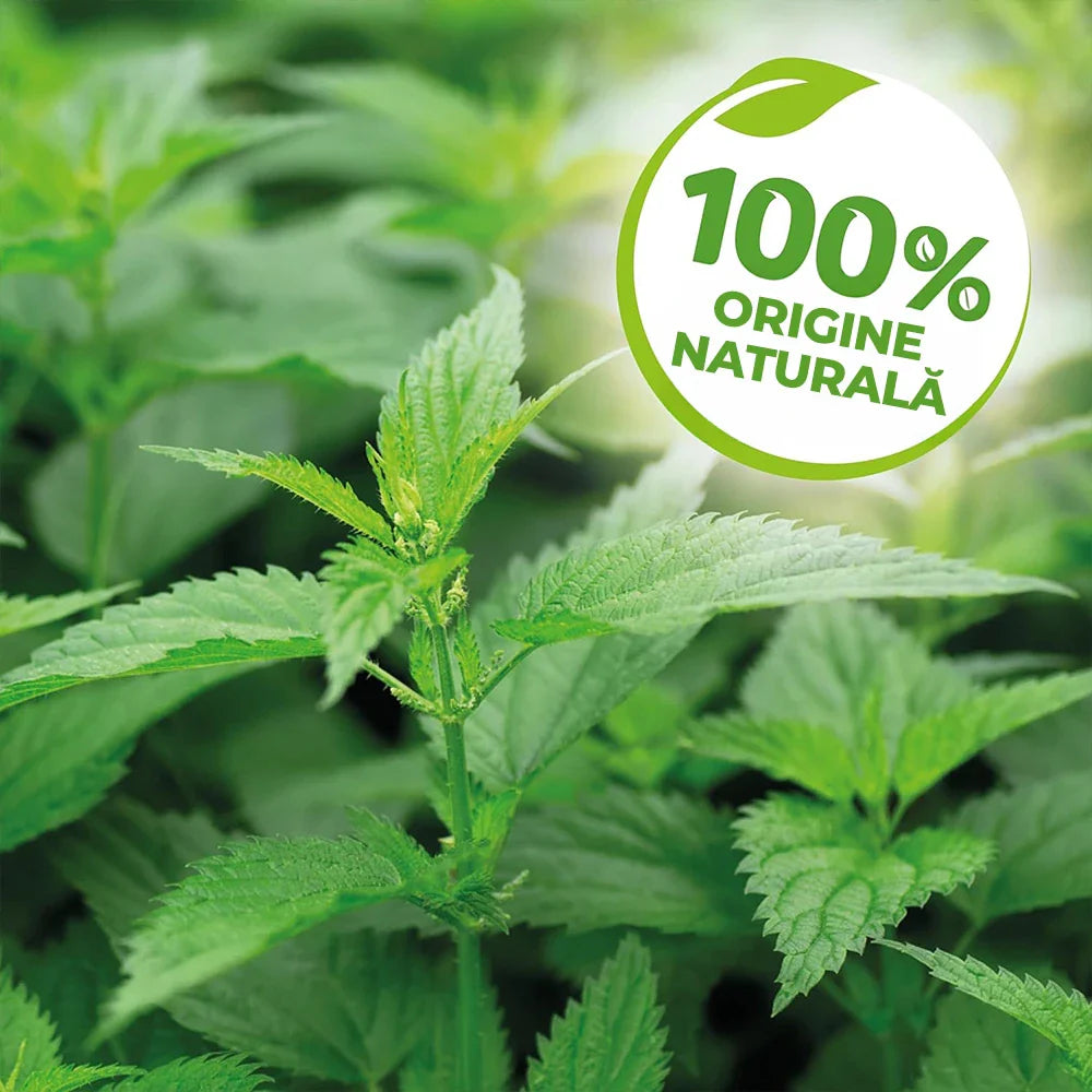 Extract de Urzica pentru Plante ornamentale si fructifere, intarirea si fortificarea plantelor predispuse la daunatori, 1l, SOLABIOL