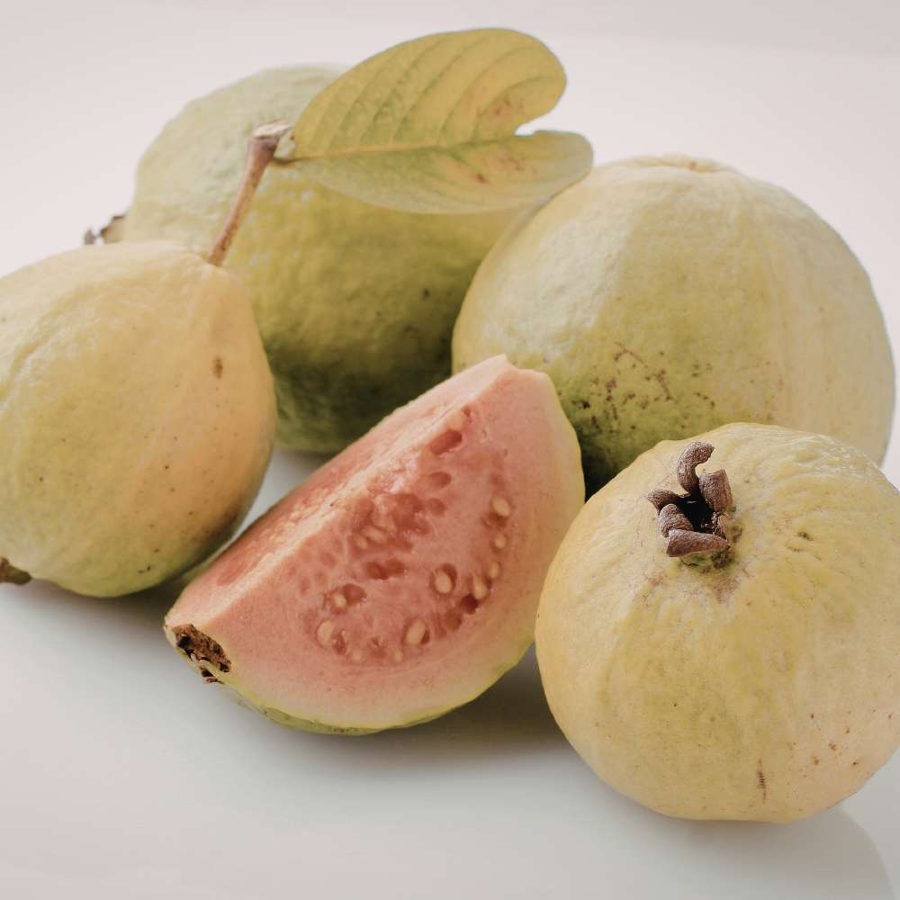 Кетли гуава (Psidium cattleyanum), екзотично растение с червени сладко-кисели плодове с аромат на ягода и гуава, бяло-креместа месеста част