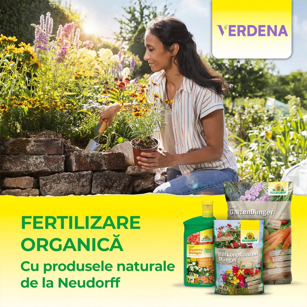 Ingrasamant organic Neudorff Azet, pentru arbori arbusti si gard viu cu efect prelungit radacini puternice si frunzis verde - 1 kg