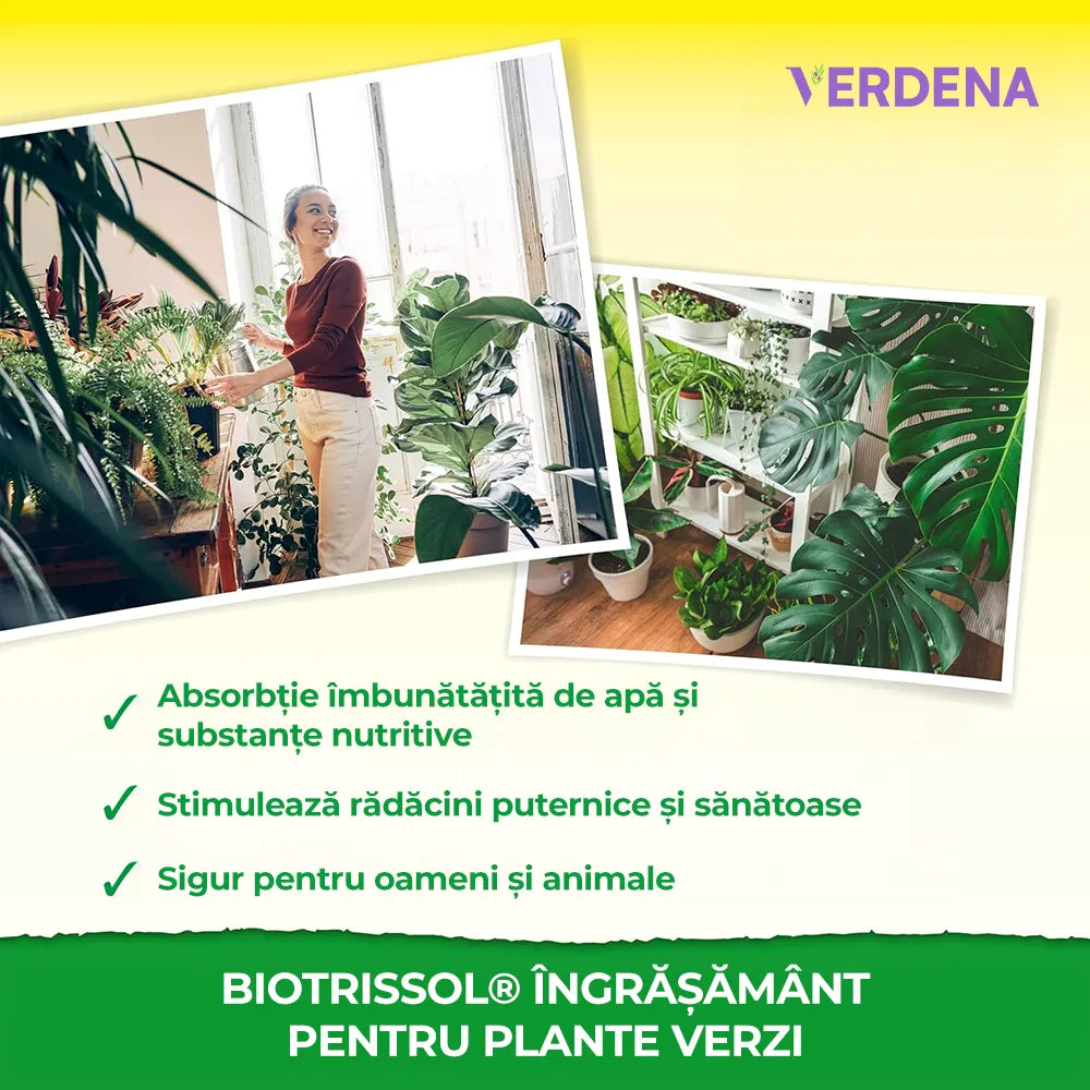 Течен тор за Зеленолистни Растения, 250 ml, Бърз Растеж, Neudorff