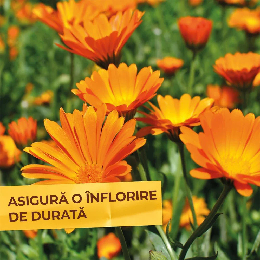 Специален тор за Цветя и Многогодишни Растения, 2.5 kg, с Моментален и Продължителен Ефект, SOLABIOL