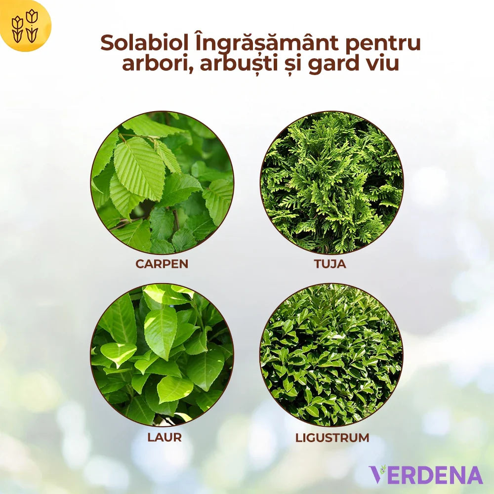 Тор за Дървета, Храсти и Жив Плет, 1.5 kg, с Стимулатор за Корени и Моментален и Продължителен Ефект, SOLABIOL