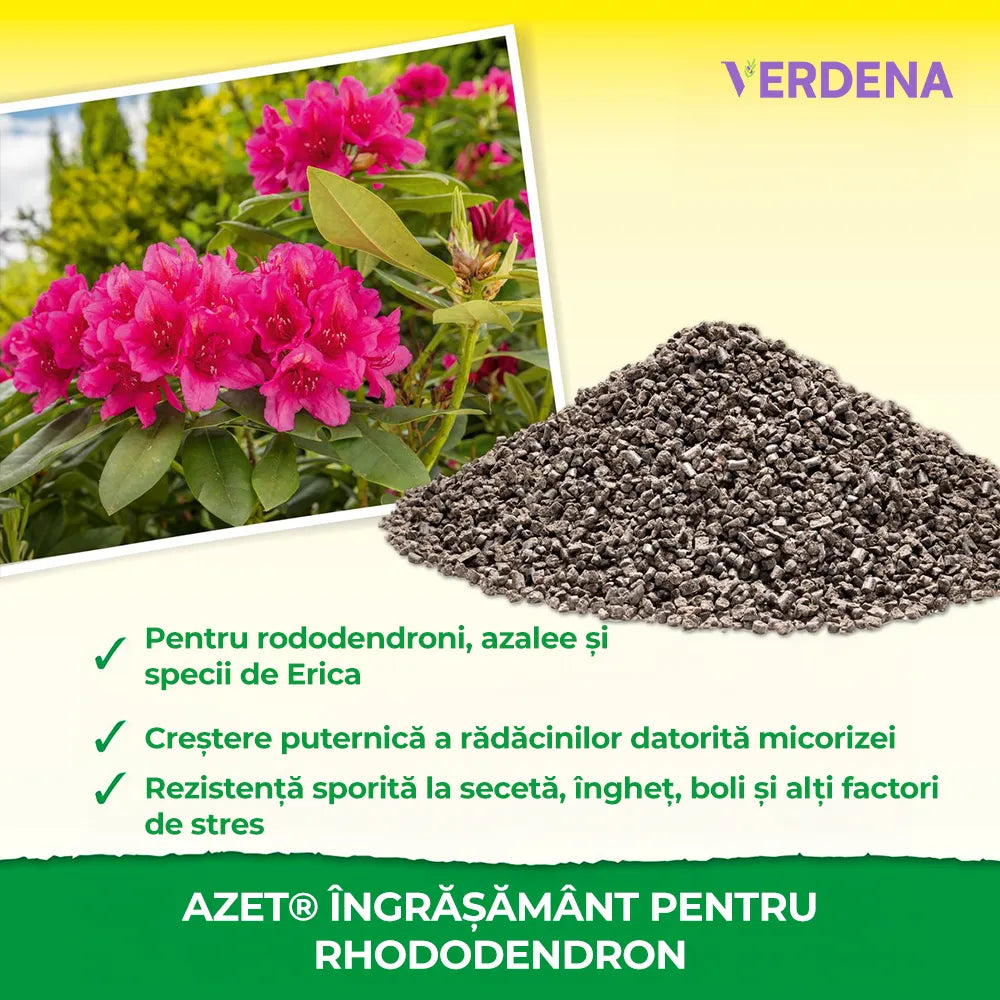 Ingrasamant Azet pentru Azalee si Rhododendroni, 1 kg, pentru plante acidofile si fructe de padure, NEUDORFF