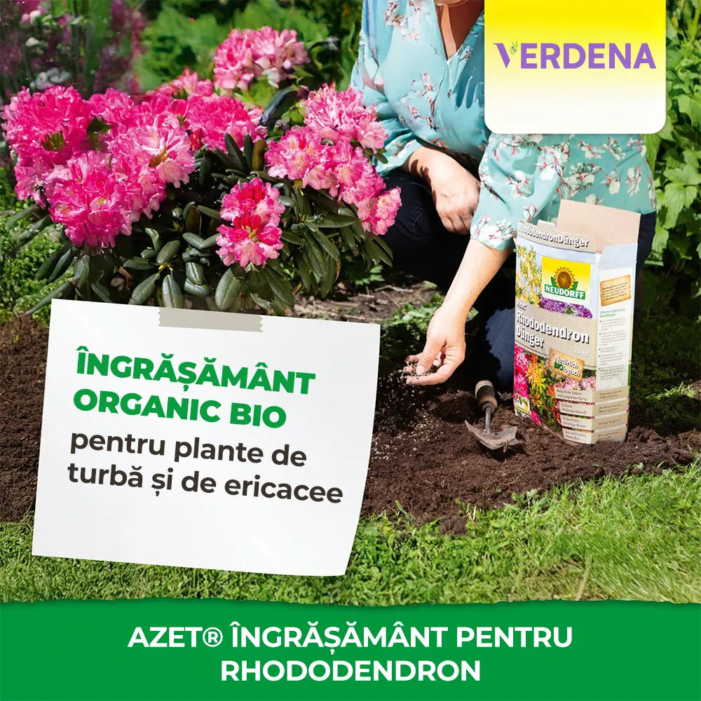 Ingrasamant Azet pentru Azalee si Rhododendroni, 1 kg, pentru plante acidofile si fructe de padure, NEUDORFF