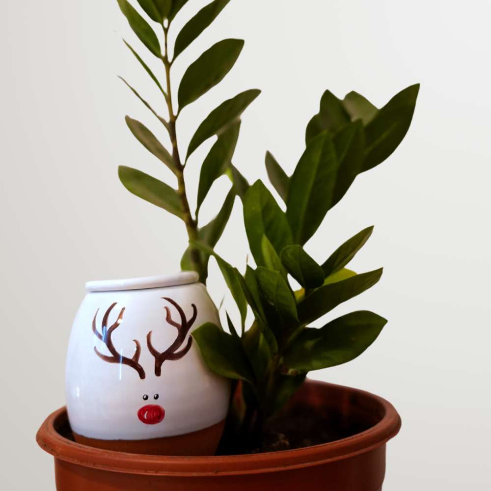 Vas de auto-udare plante "Ren" LUTOYA, decorativ, ceramic, lut, natural, 350 ml