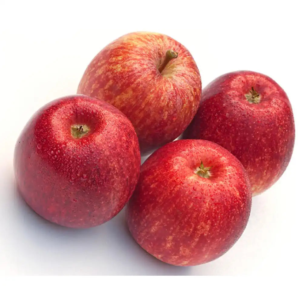 Ябълка (Malus) Sterappel, със сладко-кисели червени плодове, в трета година от род