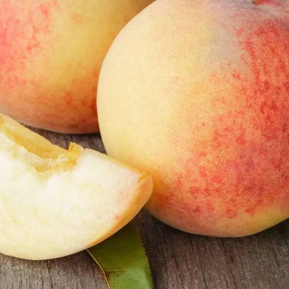 Праскова (Prunus persica) Maria Bianca, с бяло-червени-кремави плодове, във втора година от род