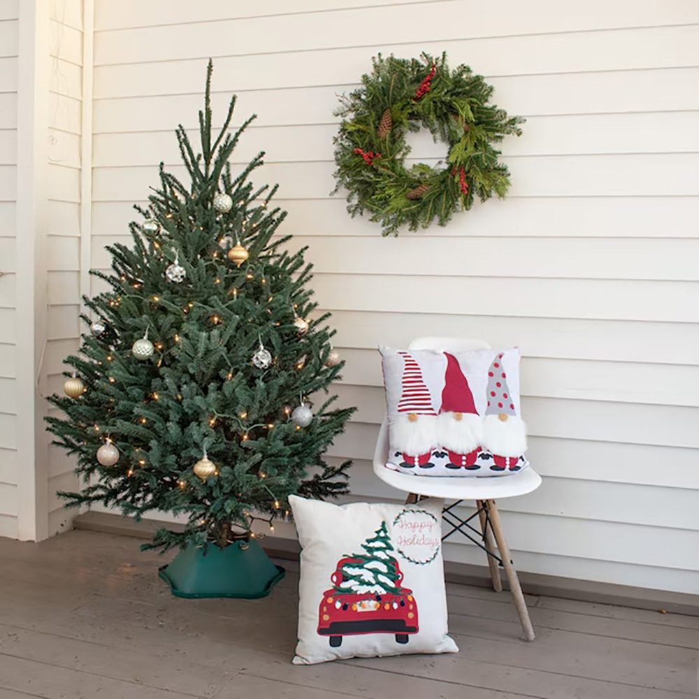 Сребриста ела синя (Picea Glauca) Super Blue, идеална за коледно дърво