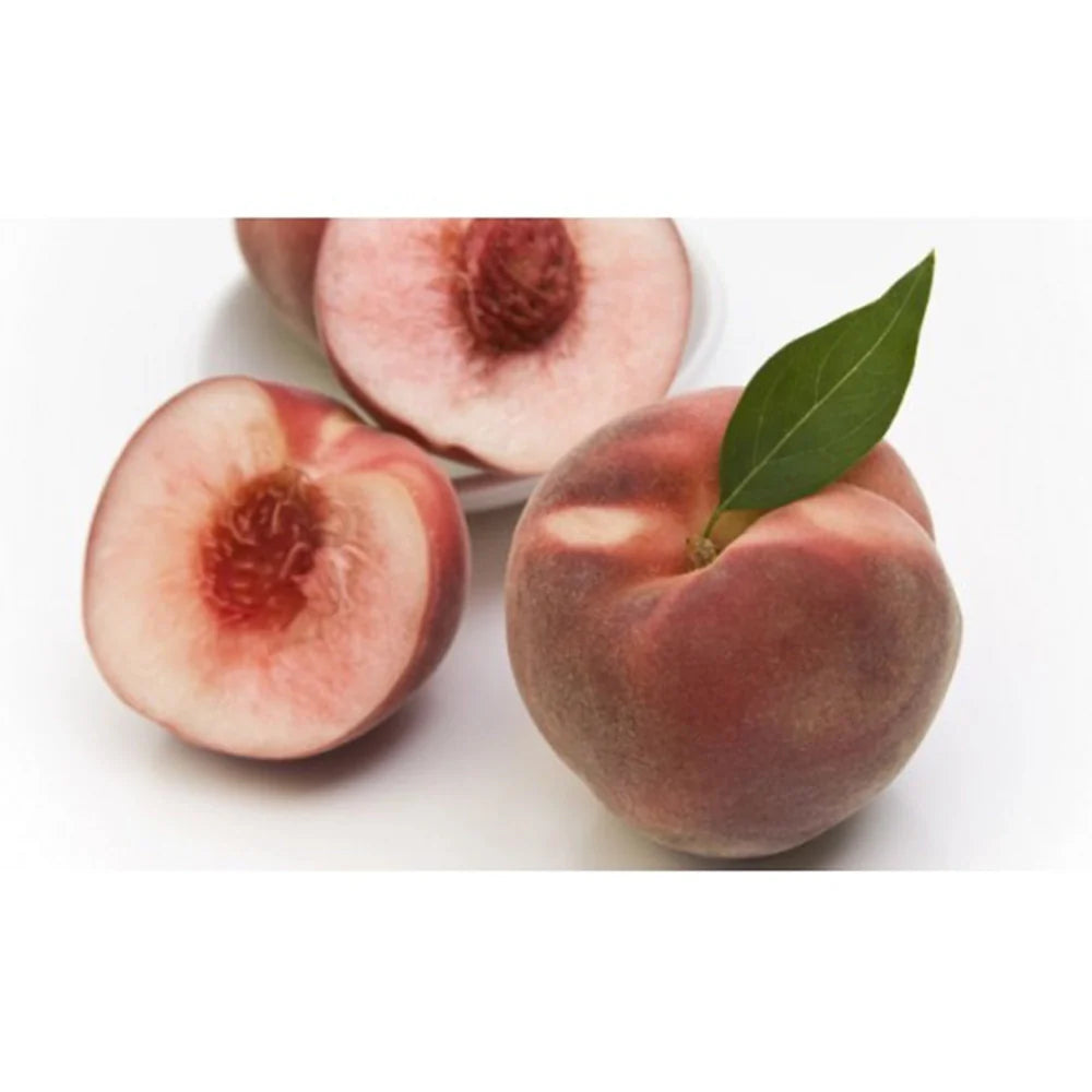 Piersic (Prunus Persica) Duchessa D'Este, cu fructe roz, an 2 pe rod