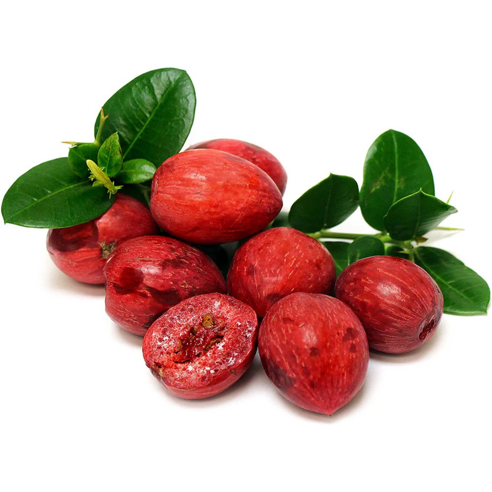 Плодово дърво Carissa, саксийно растение с червени сладко-кисели плодове, подходящи за десерти и похапване