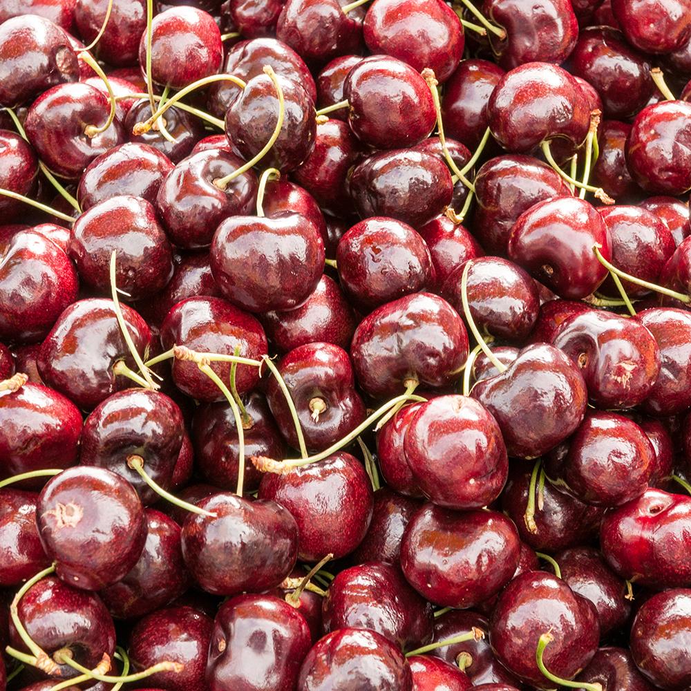 Cires Dulce (Prunus Avium) Stella, cu fructe dulci rosii-inchis