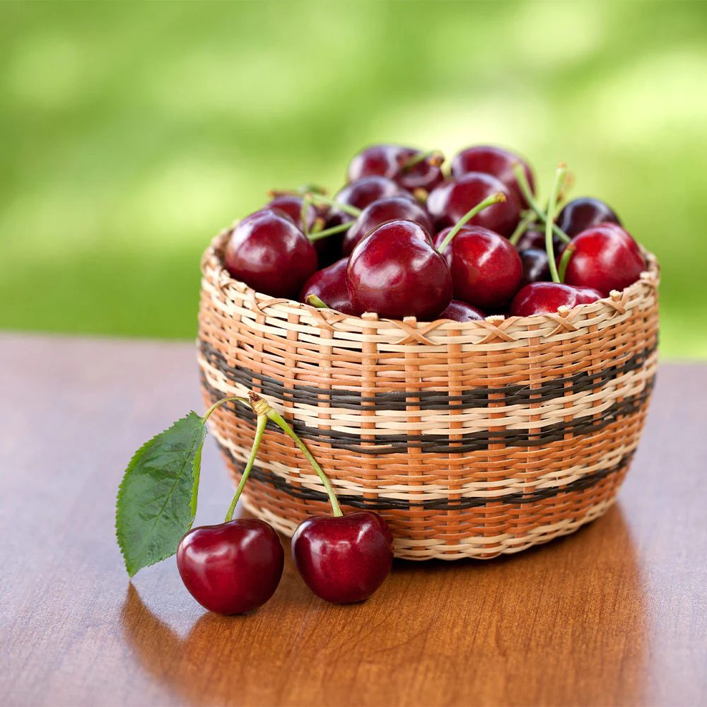 Cires (Prunus Avium) Cherry Boop, cu fructe dulci rosii-inchis