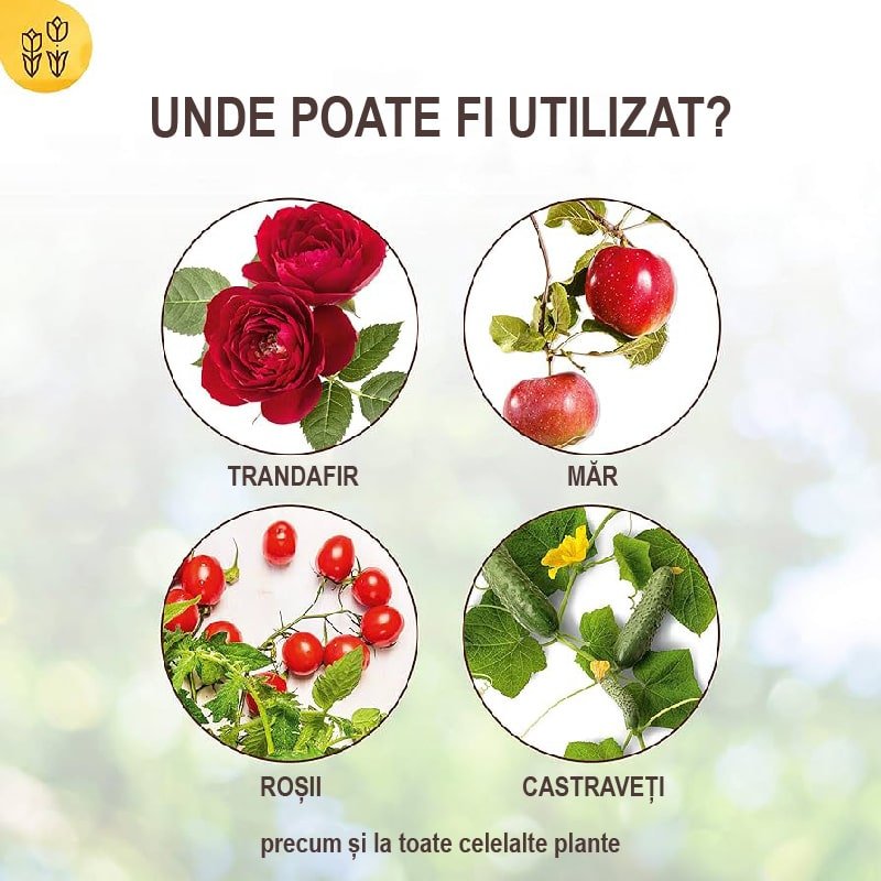 Extract de Urzica pentru Plante, 1l, SOLABIOL