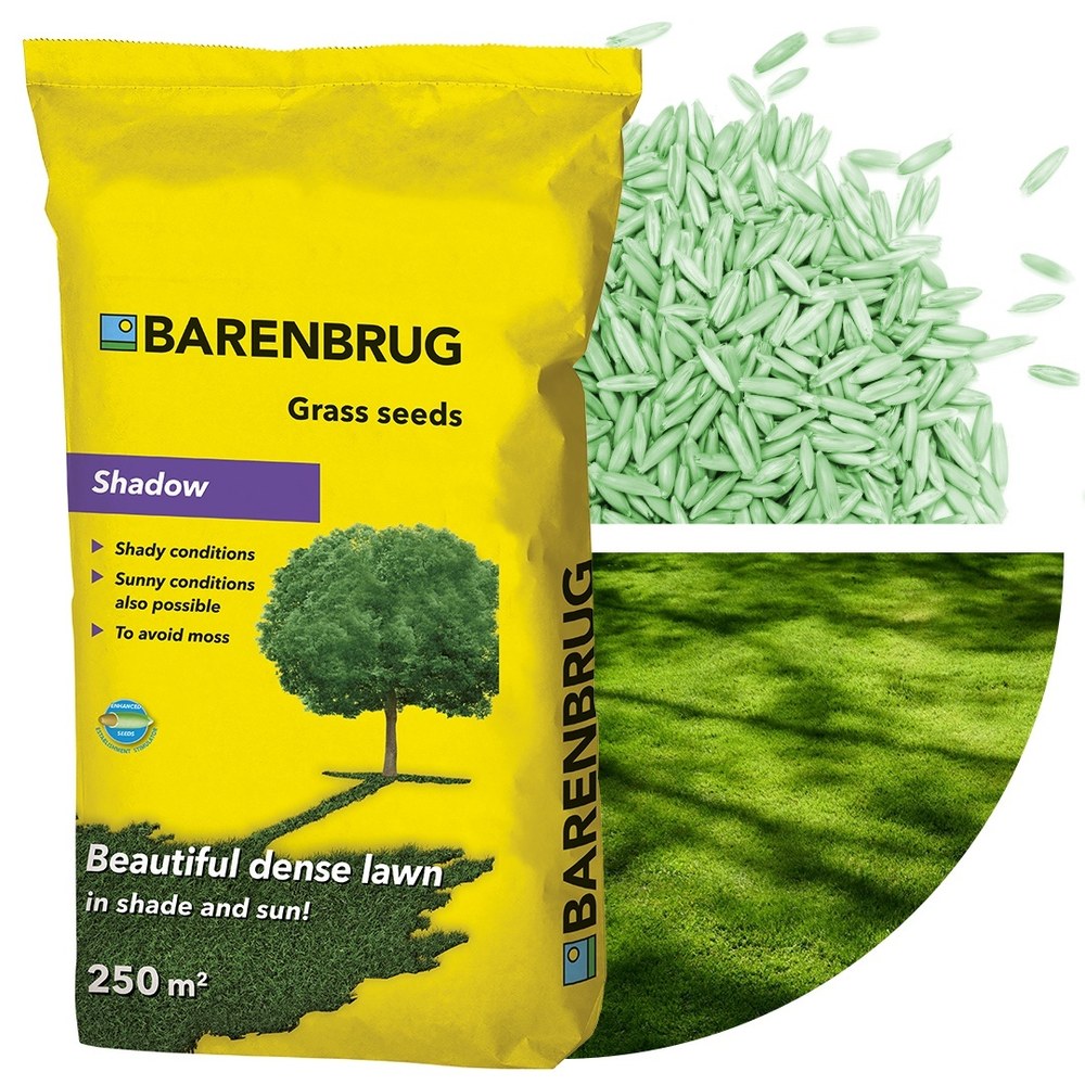 Семена за тревна морава Shadow Barenbrug 5 кг – гъста морава за сенчести и смесени зони, за 250 кв.м