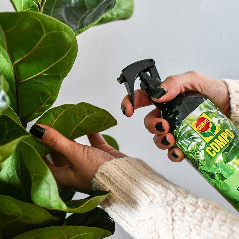 Ingrasamant Lichid pentru Ingrijirea Frunzelor Plantelor Verzi si Palmieri, 500 ml, Sticla cu Pulverizator, COMPO