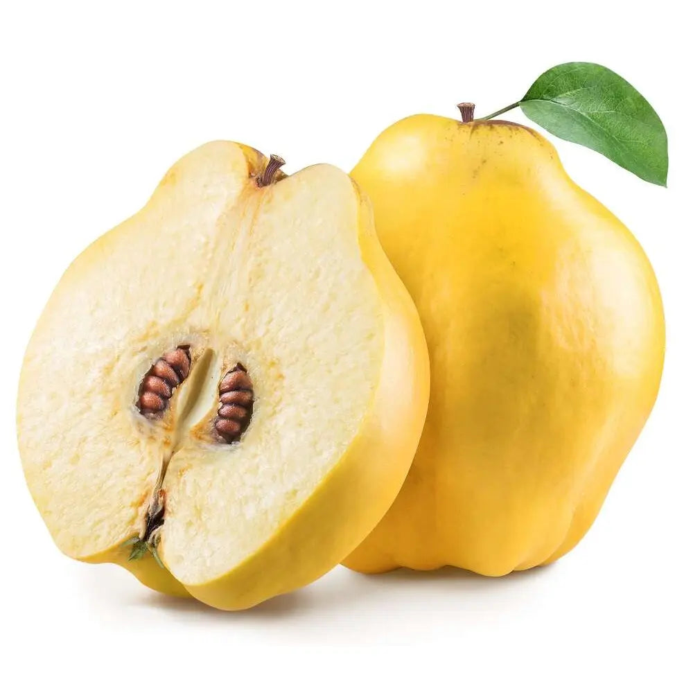 Ябълка (Malus) Cotogno, със сладко-кисели жълти плодове, в трета година от род